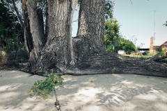 Alanreed_TX_2019-8