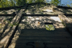 Aldridge_TX_2019-7