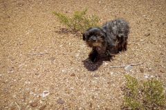 Allamoore_TX_2019-12