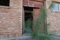 Asherton_TX_2020-7