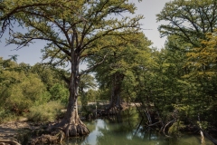 Bandera_TX_2020-5
