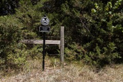 Bend-Cemetery_TX_2023SM-2