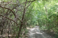 Bluff-Springs-Cemetery_TX_2023SM-13