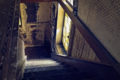 Bomarton_TX_2019-14