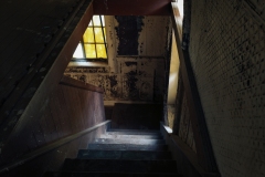 Bomarton_TX_2019-15