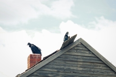 Bomarton_TX_2019-2