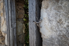 Brackettville_TX_2020-13