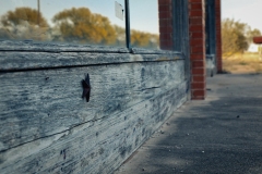 Bradshaw_TX_2019-13