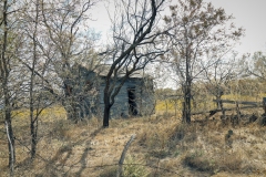 Bradshaw_TX_2019-17