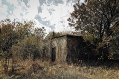 Bradshaw_TX_2019-19