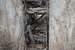 Bradshaw_TX_2019-21