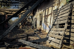 Bradshaw_TX_2019-22