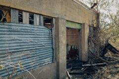 Bradshaw_TX_2019-23