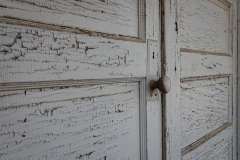 Bradshaw_TX_2019-9