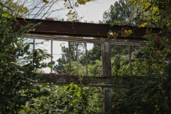 Bronson_TX_2019-3