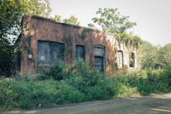 Bronson_TX_2019-4
