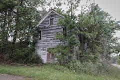 Bronson_TX_2019-8