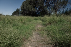 Brownsville_TX_2020-14