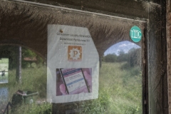 Brownsville_TX_2020-16