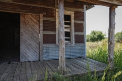 Bug-Tussle_TX_2020-5
