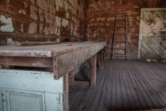 Bug-Tussle_TX_2020-6