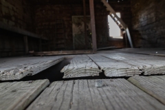 Bug-Tussle_TX_2020-8