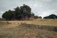 Burkett_TX_2019SM-1