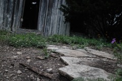 Carta-Valley_TX_2019SM-10