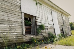 Carter_TX_2019SM-12