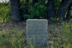 Carter_TX_2019SM-17