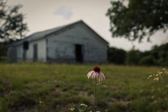 Carter_TX_2019SM-26