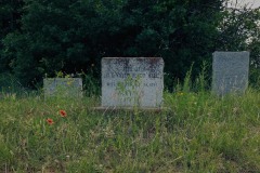 Carter_TX_2019SM-3