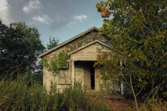 Cayuga_TX_2019SM-9