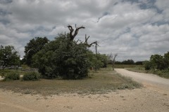 Center-City_TX_2019SM-13