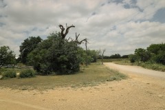 Center-City_TX_2019SM-14