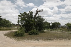 Center-City_TX_2019SM-16