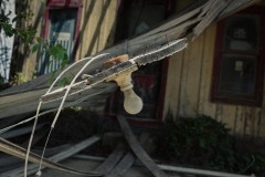 Center-City_TX_2019SM-2