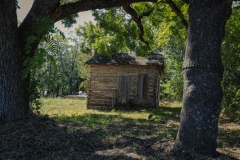 Chico_TX_2019-3