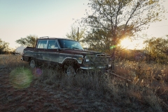 Clairemont_TX_2019-36