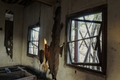 Clairemont_TX_2019-42