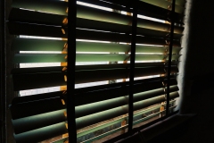 Colorado-City_TX_2019-65