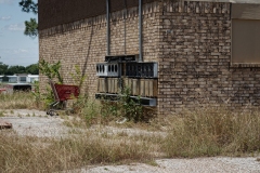 Commerce_TX_2020-7