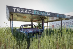 Conway_TX_2019-38
