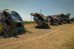 Conway_TX_2019-56