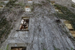 Mary-Allen-College_TX_2019-11