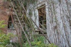 Mary-Allen-College_TX_2019-14