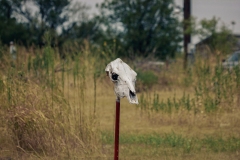 Crowell_TX_2019-18