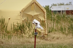 Crowell_TX_2019-19