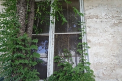 Decatur_TX_2019-18