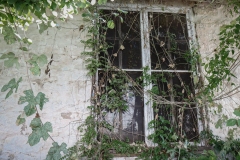 Decatur_TX_2019-19